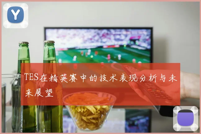 TES在精英赛中的技术表现分析与未来展望