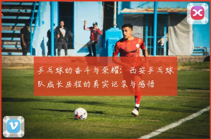 乒乓球的奋斗与荣耀：西安乒乓球队成长历程的真实记录与感悟